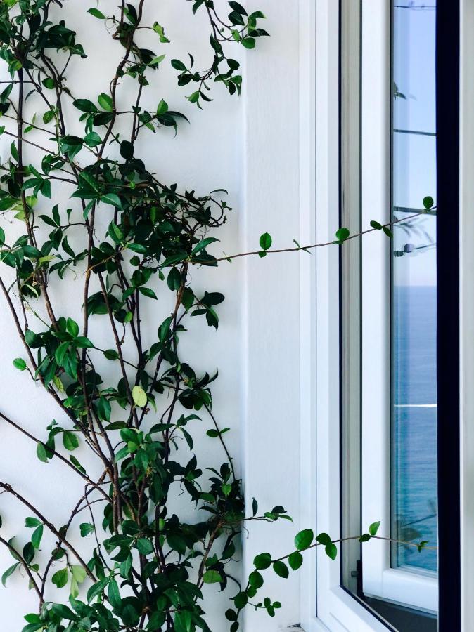 Les Lilas 로퀴에브륀캡마르탱 외부 사진